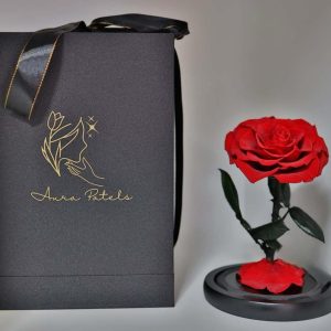 Forever Aura Preserved Floating Rose