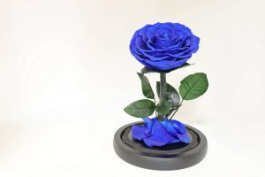 Forever Aura Preserved Floating Rose – Royal Blue