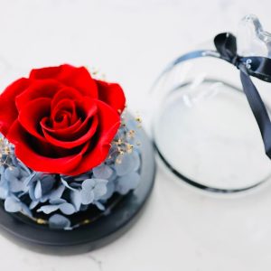 Forever Rose with Light